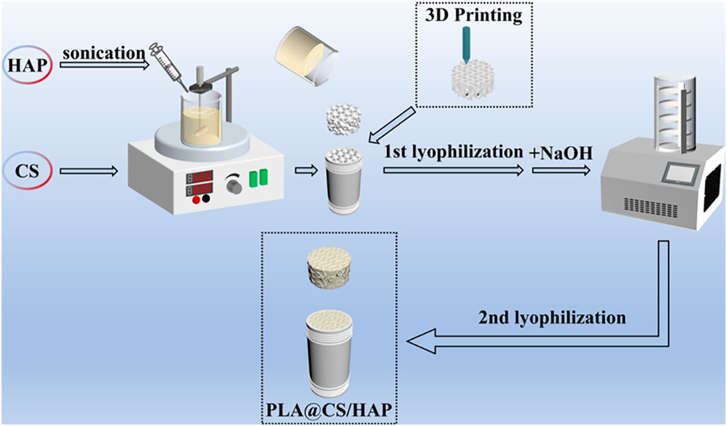 Bioprinting 3D Microbien