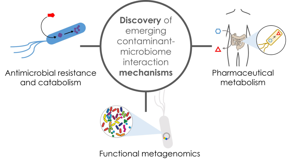 Matériaux microbiens fonctionnels