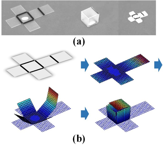 Self-folding structures